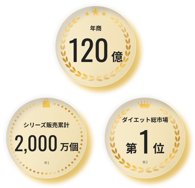 実績